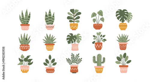 Collection of various potted houseplants and cacti.