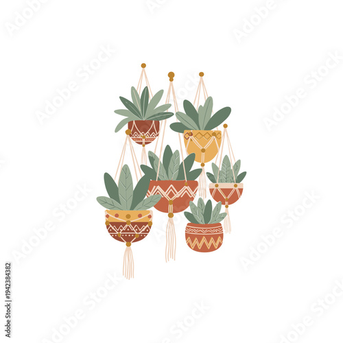 Colorful succulents in hanging pots.