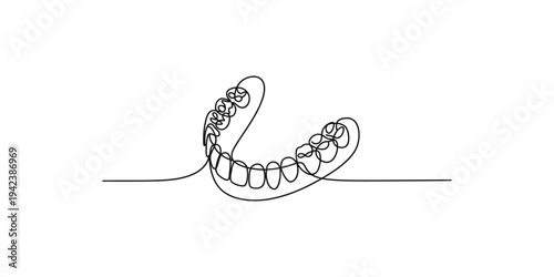 A continuous line drawing of a human lower jaw with teeth on white background