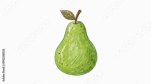hand drawn green pear illustration featuring simple organic fruit design