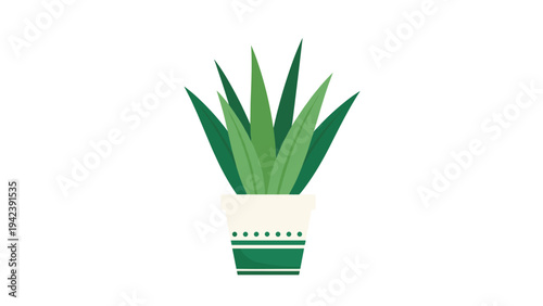 Potted aloe vera succulent plant with thick green pointed leaves growing in a decorative ceramic pot with a geometric pattern.