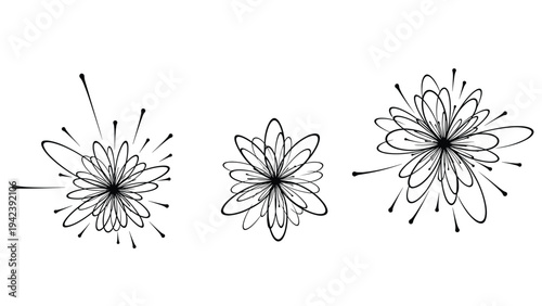 Set of three abstract black line art starburst or floral patterns with thin lines and dots on a plain white background for minimalist decor.
