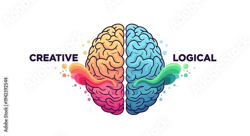 Vibrant brain illustration split into creative and logical hemispheres