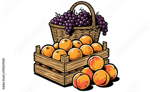 Food club artwork for t shirt print, poster, sticker and other uses. Grapes, Oranges, Peaches, vector artwork