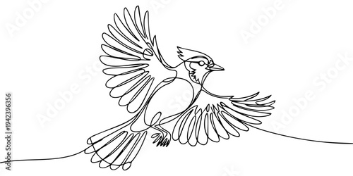 Blue Jay in flight plumage continuous one line drawing, Bird line drawing. One continuous line drawing ruffled bird, Hand Drawn Cute Bird Vector sketch icon isolated on white background. Design