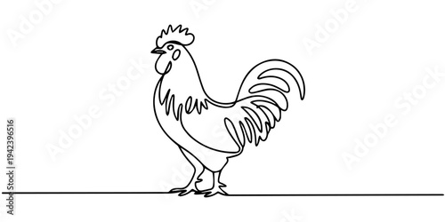 One continuous line illustration of an chicken, isolated on white background, Continuous one line drawing of a rooster standing upright, representing confidence and awakening, line art style vector
