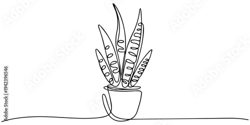 House plants in pots. Continuous one Line drawing. Isolated on White Background. one line Art icon drawing vector, Potted plant continuous one line drawing minimalist botanical vector illustration