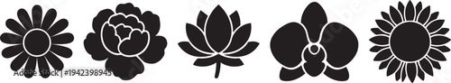 Set of Diverse Flower Silhouettes Including Daisy Peony Lotus Orchid and Sunflower Simple Minimalist Floral Symbols Hand Drawn Doodle Vector Illustration for Decoration and Logo Design