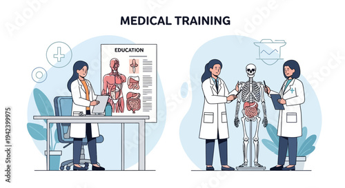 Medical Training Vector Illustration Students Learning Anatomy and Healthcare Education