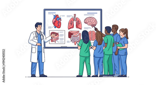 Engaged doctor teaching human anatomy to diverse medical students on a whiteboard, a detailed vector illustration ideal for healthcare education and scientific study