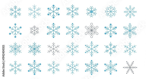Collection of Various Snowflakes with Unique Patterns.