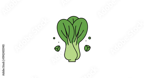 Bok Choy Stir Fry Line art geometric abstract color vector
