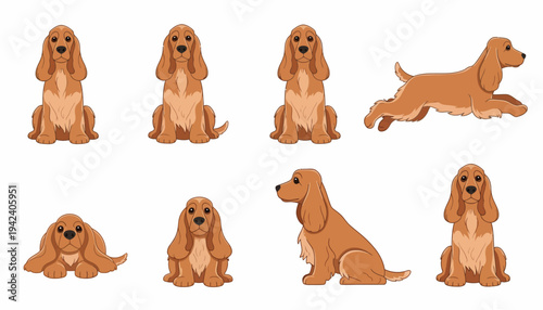 English Cocker Spaniel Cartoon Illustration Set Featuring Multiple Poses Including Sitting, Running, and Lying Down on a White Background for Pet Design Project
