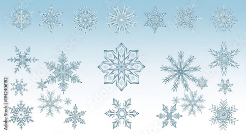 Collection of Various Snowflakes with Unique Patterns.