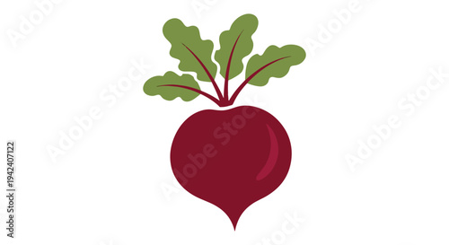 Borscht Line art vector set flat modern abstract