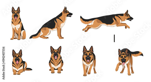 German Shepherd Dog Vector Illustration Set Featuring Various Poses Like Sitting, Jumping, Walking, and Lying Down Isolated on a Clean White Background Graphic