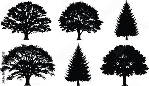 Collection of detailed tree silhouettes including oak and pine trees isolated on white background vector set