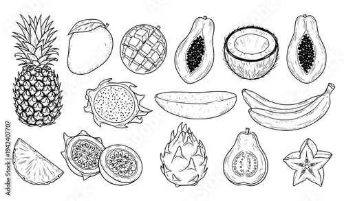  Hand drawn tropical fruit collection with pineapple papaya banana and coconut, detailed sketch style vector illustration set isolated on light background
