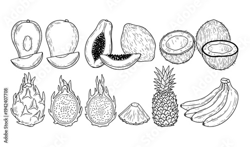 Tropical Fruit Vector Illustration Set Featuring Avocado, Papaya, Coconut, Dragon Fruit, Pineapple, Banana and Sliced Pieces for Healthy Food and Nutrition Design