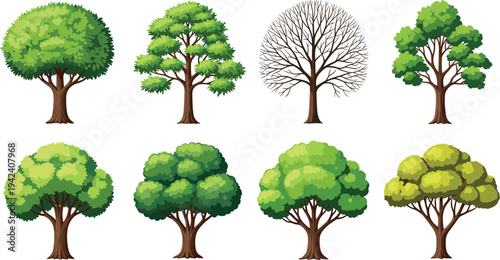 Collection of various deciduous trees in different styles isolated on white background botanical nature illustration set