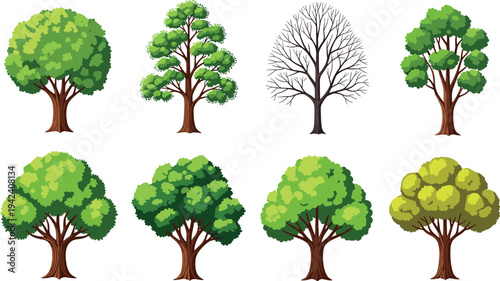 Set of deciduous trees with lush green foliage and bare branches isolated on white background vector illustration