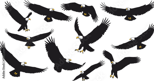 Bald eagles in flight, majestic wildlife, soaring birds of prey, freedom symbol, detailed vector illustration, nature predators, powerful wingspan art