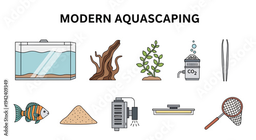Illustration of essential equipment and elements for modern aquascaping