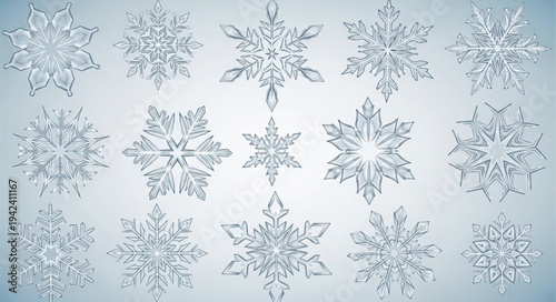 Set of Various Snowflakes with Unique Crystal Patterns.