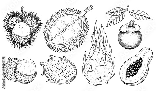 A black and white vector illustration of various tropical fruits and leaves