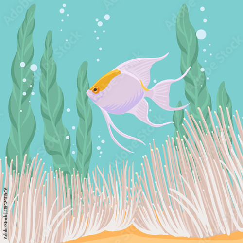 vector drawing tropical fishes, corals and water, aquarium with angelfish , hand drawn illustration