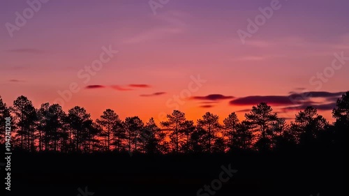 Silhouetted trees line the horizon under a gradient sky of purple and orange sunset