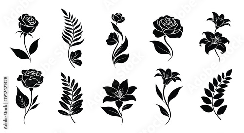 A collection of various black and white botanical illustrations featuring leaves and flowers