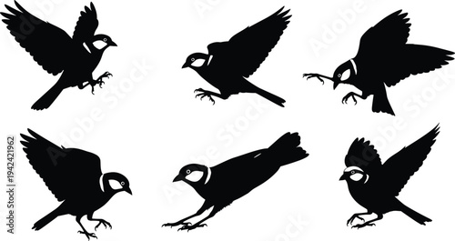 Set of Six Black Silhouette Vector Illustrations Featuring Small Wild Birds Flying and Landing in Various Dynamic Poses for Nature and Wildlife Designs