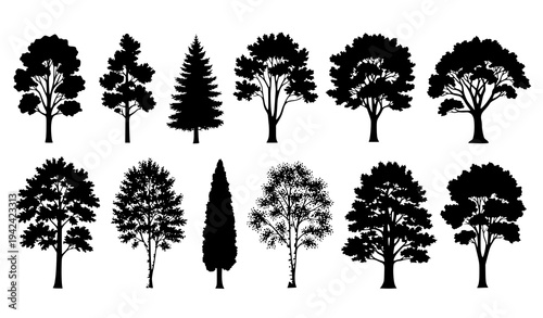 Tree silhouettes vector set various forest trees collection isolated on white background