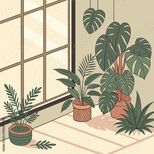 Large Monstera Deliciosa Plant by a Sunny Window in Minimalist Room