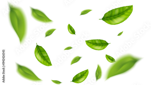 green leaf flying vector background
