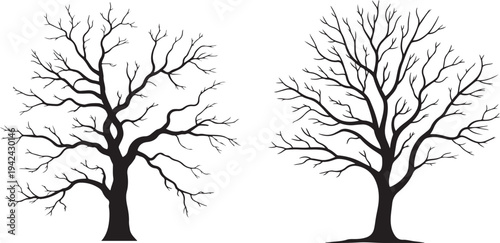 Bare tree silhouette set isolated on white background