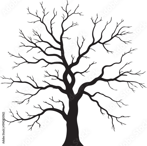 Black and white leafless tree silhouette with detailed branches