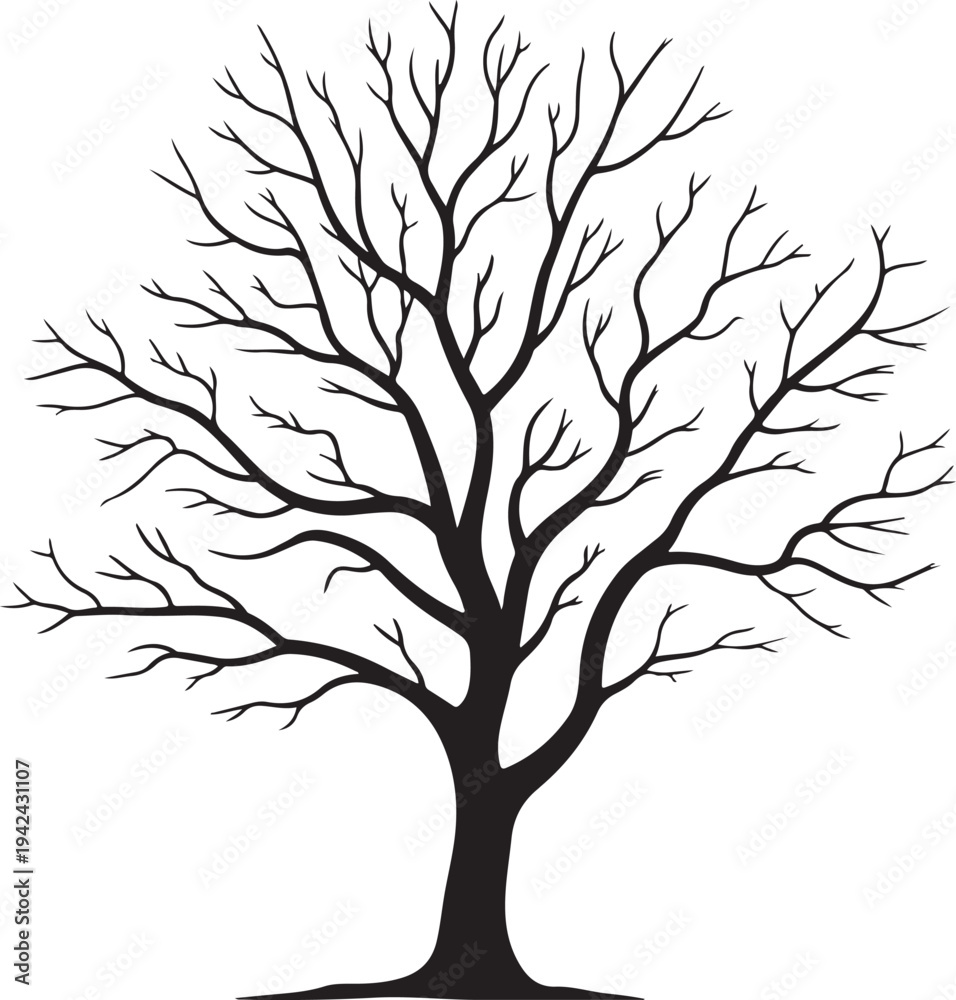 Obraz premium Leafless tree silhouette isolated on white background