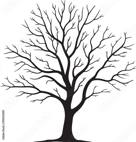 Leafless tree silhouette isolated on white background