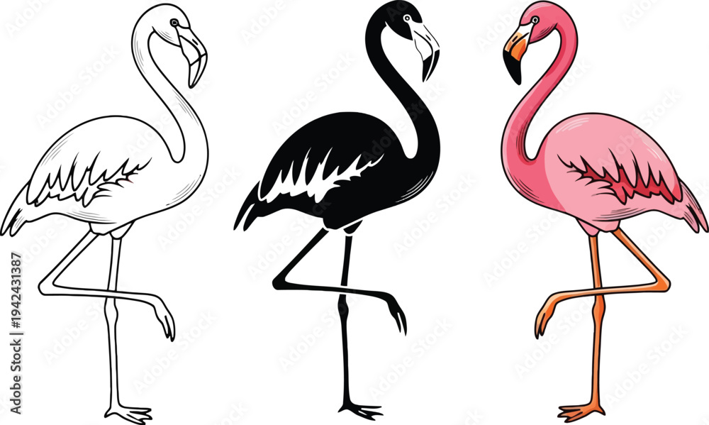 Obraz premium Three flamingos in different colors
