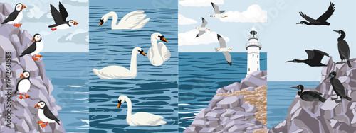 vector drawing birds, sea and cliffs, hand drawn set of coastal ocean landscapes, natural wildlife compositions