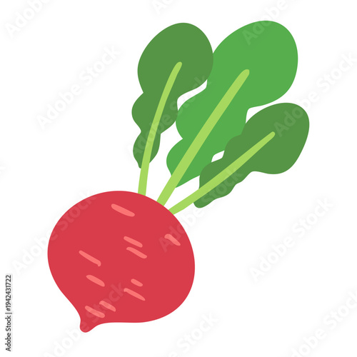 kabu_oyasai_ippaiかぶのイラスト