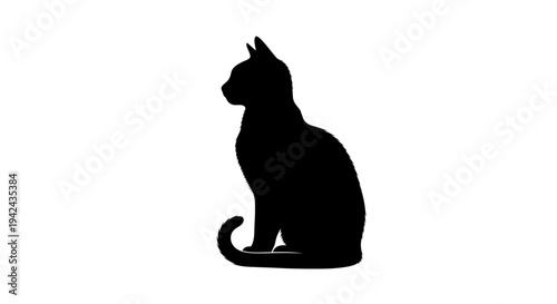 Black cat silhouette sitting profile on white background