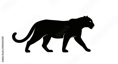 Black panther walking silhouette isolated on white background