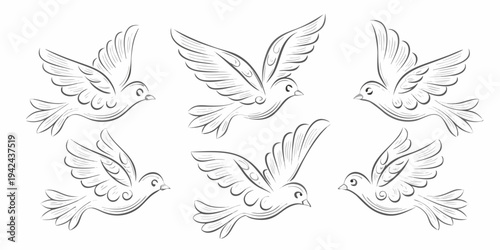 A collection of sketched birds in flight showcasing different poses