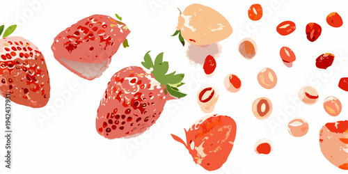 Stylized illustration of fresh strawberries and sliced fruit pieces