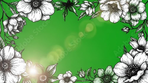 Wallpaper Mural Green Screen hand drawn black and white flowers spinning frame on for background scene 1 with distortion, overlay, glitch, static noise, scan lines background, 4k animated video loop Torontodigital.ca