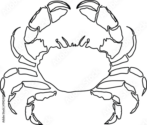Detailed Crab Line Art Marine Sea Animal Outline Illustration