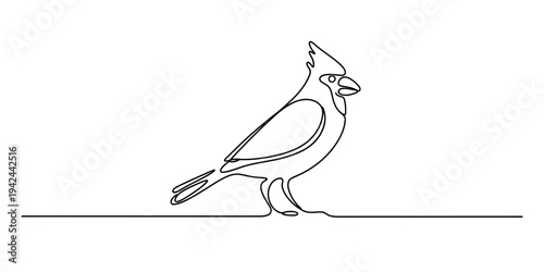 A simple continuous line drawing of a northern cardinal bird standing on a thin horizontal line. Vector, illustration